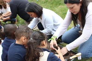 kids plant 3 